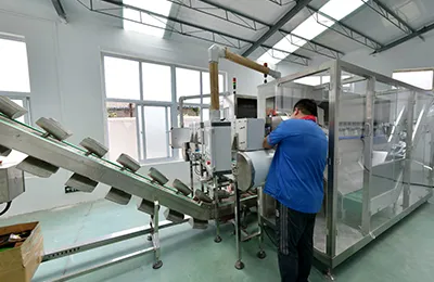 منطقة تكامل الخط الكامل