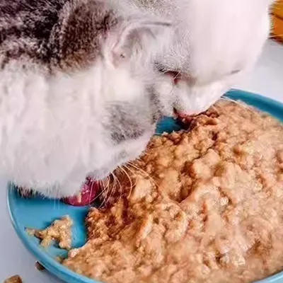 آلة تعبئة أغذية الحيوانات الأليفة