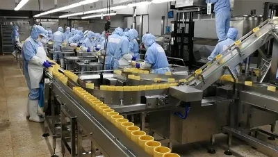 ماكينة تعبئة الأكياس الجاهزة الآلية YL-10SR